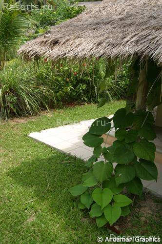 Koyao Island Resort 39